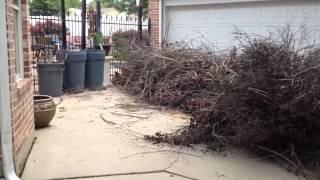 Hurst Texas Brush/Tree Limb Removal