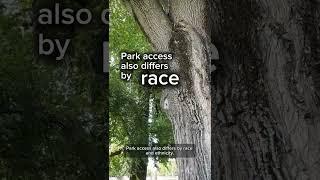 Do most Americans have local park access?