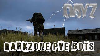 Обзор сервера EXPANSION| DARKZONE PVE|Bots|Quest|NoWipe|Dungeon #1 #dayz