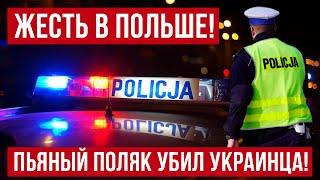 Ужасная новость! В Польше украинец и поляк решили выпить!