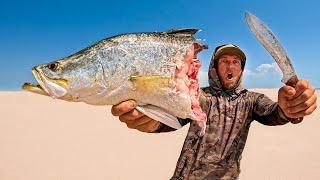 2 DAYS SOLO - WILD Catch and Cook In SHARK & CROCK Infested Waters