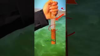 Gulf of Alaska never mix but why #science #sciencefacts #shorts