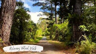 Relaxing Walk in Nature | Gum Loop Track New Zealand