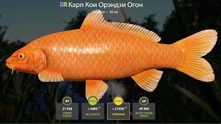 1000+ ФАРМА СЕРЕБРА ЗА ЧАС! ЛЮТЕЙЩАЯ РАЗДАЧА ФАРМА НА МЕДНОМ ОЗЕРЕ в Русской Рыбалке 4! РР4