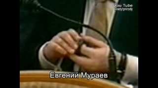 Мураев и Добкин разыгрывают карту "Гомольшанские леса"