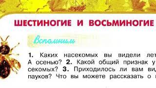 Окружающий мир 2 класс, Перспектива, с 90-93, тема урока "Шестиногие и восьминогие"