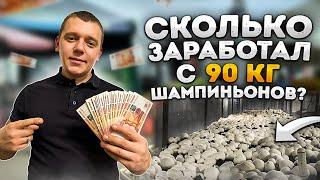 Сколько можно заработать на продаже грибов шампиньонов? Будни грибовода.