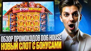 ФРИСПИНЫ CASINO DRIP ДЛЯ СЛОТА DOG HOUSE | КАЗИНО ДРИП ПРОМОКОД | ОБЗОР CASINO DRIP