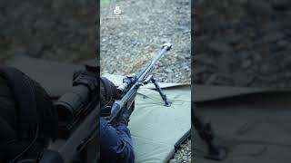 50 BMG Echo In The Canyon