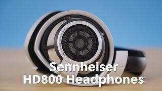 HD800 Overview | Dekoni Audio