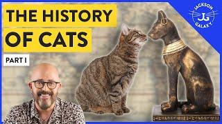 The History of Cats: Part I