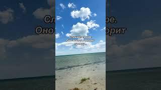Приморское (Измаильский район). 20 мая 2025 г. #одесскаяобласть #бессарабия #украина