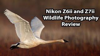 Nikon Z6ii and Z7ii Wildlife Photography Review