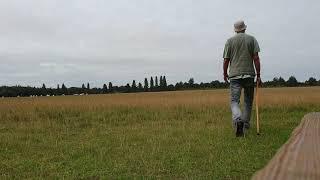 How to Walk With a Stick