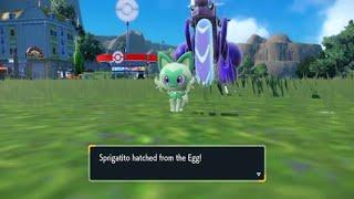 Shiny Sprigatito from Masuda Method - Pokémon Violet