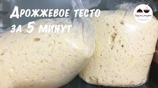 Дрожжевое тесто для ленивых  Рецепт дрожжевого теста за 5 минут  Yeast dough for 5 minutes