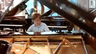 C. Bechstein Centrum Berlin - Klaviere und Flügel der Meisterklasse