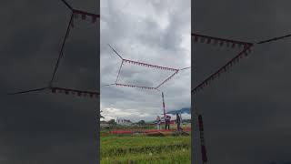 Viral joki Merpati kolong Ternyata Cewek Cantik satu satunya di WONOSOBO