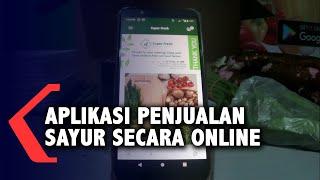 Inspiratif! Usaha Jual Beli Sayur Secara Online