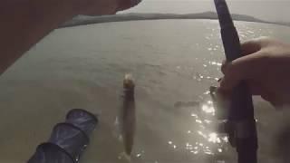 ტივტივით თევზაობა იტალიაში.all'inglese pesca alladiga di san guliano.....
