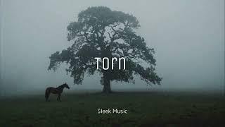 Sleek Music -Torn-