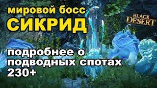 Морской данж AP 230-270  Мировой босс Сикрид за 70кк в Black Desert (MMORPG - ИГРЫ)