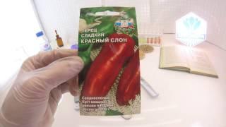 Перец сладкий Красный слон - СеДеК