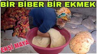 BİR FIRIN BİBER İÇİN BİR FIRIN EKŞİ MAYALI KÖY EKMEĞİ YAPTIK~BAHARAT YAPIMINA HAZIRLIK