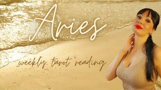 ARIES They will offer you commitment!!!️️️ august tarot reading