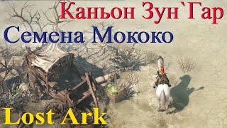 Семена Мококо в Каньоне Зун`Гар Lost Ark