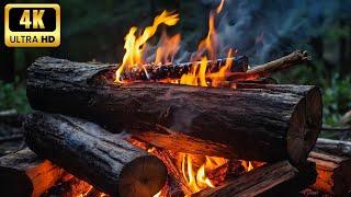  Fireplace Sounds: Immersive 11 Hour Experience of Crackling Logs, Dancing Flames for Meditation V5