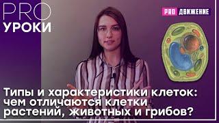 Типы и характеристики клеток: чем отличаются клетки растений, животных и грибов?