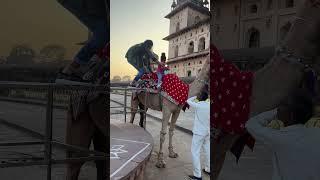 Darshika ko mamma ne camel  par nahi baithaya #shorts #ytviral #ytshorts #youtube