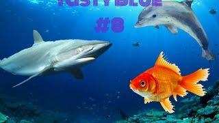 Tasty Blue Walkthrough #8