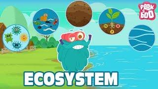 ECOSYSTEM - The Dr. Binocs Show | Best Learning Videos For Kids | Peekaboo Kidz