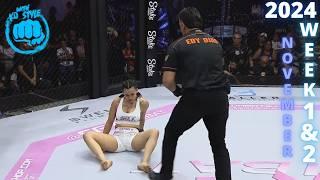 MMA & Boxing Knockouts I November 2024 Week 1 & 2