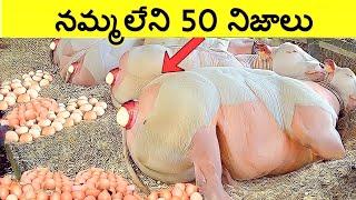 Top 50 Interesting Facts In Telugu |  unknown Facts Telugu|CTC world | EP-16