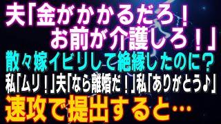 【スカッとする話】夫「金がかかるだろ！お前が介護しろ！」散々嫁イビリして絶縁したのに？私「ムリ！」夫「なら離婚だ！」私「ありがとう」速攻で提出すると…