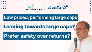 Low priced, Large cap growth stocks list | Prefer safety over returns? Leaning towards large caps?