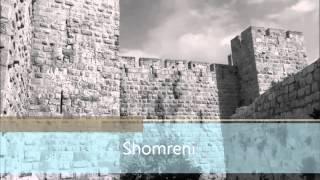 FOZ 9 Shomreni