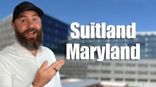 A Local's Guide To Living In Suitland, Maryland