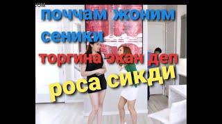 Поччам жоним сеники торгина экан деп роса сикди,,,,,,,