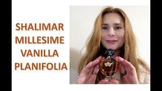 Shalimar Millésime Vanilla Planifolia Guerlain - новинка и лимитка 2021 г от Герлен. Шалимар Ваниль