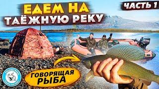 ТАЕЖНАЯ РЕЧКА.  За ХАРИУСОМ. Простая РЫБАЛКА на спиннинг. Таежная река. Хариус на реке. fishing