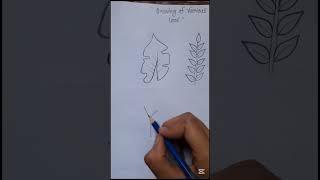 different type flowers#art#craft#viral#art #unfrezzmyaccount #viralvideo