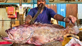 KASIMEDU  SPEED SELVAM | BROWN GROUPER FISH CUTTING VIDEO | IN KASIMEDU | FF CUTTING 