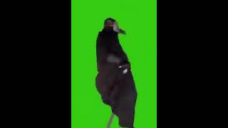 Чумной доктор флекс футаж хромакей