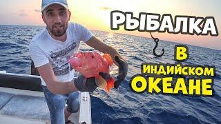 Рыбалка в индийском океане! Офигел от такой рыбалки и рыбы.