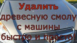 Удалить древесную смолу с машины просто! / how to remove tar from your car