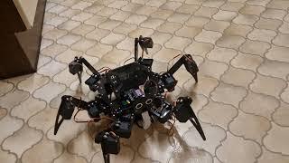 Freenove Big Hexapod Robot Moving 5